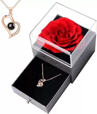 Real Rose With I Love You Necklace In 100 Languages Gift Set Eternal Red Flower • $55