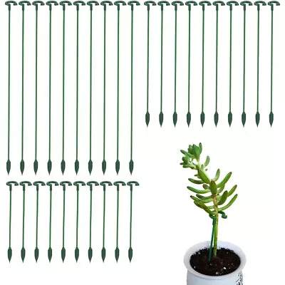 30X Plant Support Stakes Garden Flower Support Single Stem Indoor Plants 3 Size • £7.59