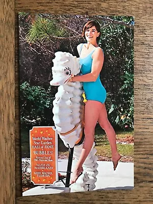 Weeki Wachee Mermaid With Bubbles Seahorse Alice In Wonderland Postcard Florida • $7