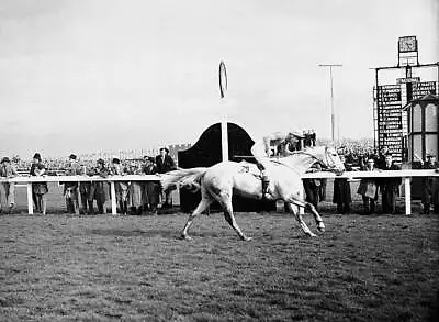 £5.78 • Buy Nicolaus Silver 1961 Grand National Win 1 Horse Racing Old Photo
