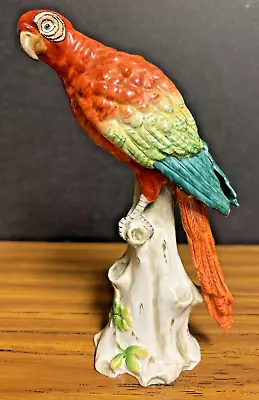 Meissen Porcelain Macaw Parrot Figurine 7 1/4  • $164.95