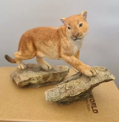 Collectable Country Artists Natural World Florida Panther Figurine • £32.99