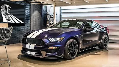 Iconic Arts Supercar Laminated 24x36 Poster: Ford Mustang Shelby GT-350 Muscl... • $19.82