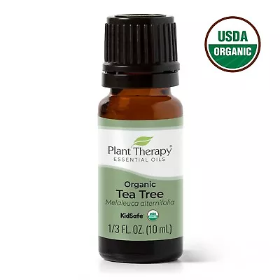 Plant Therapy USDA Organic Tea Tree Essential Oils 100% Pure Undiluted Natural • $10.49