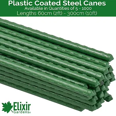 Plastic Coated Steel Garden Canes / Stakes | Lengths 2ft - 10ft | Various Qty's • £299.99