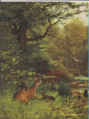 J. C. Kroner Deer Doe Fawns Birds Trees 8 X6  Print Vintage • $14.99