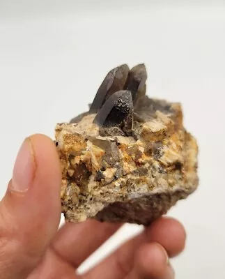 Beautiful Smoky Quartz Crystal On Feldspar - Montana  • $28