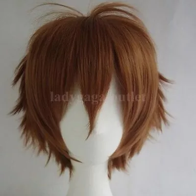 Cool Mens Male Boys Short Anime Wig Halloween Cosplay Spiky Straight Full Wig G2 • $15.58