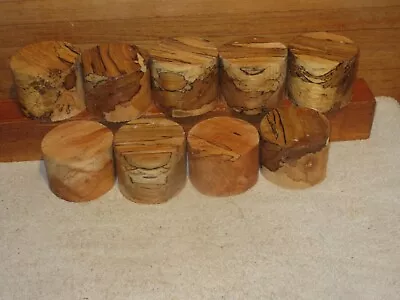 9pc Spalted Missouri  Maple Turning Wood Bowl Blank • $30