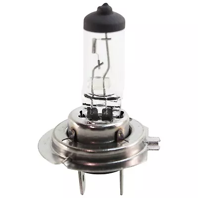 Headlight Bulb H7 Halogen Type Low Or Hi Beam • $11.86