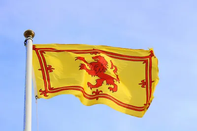 SCOTLAND 3FT X 2FT LION RAMPANT FLAG SCOT SCOTTISH SPORT YES COLLECTABLE  • £3.75