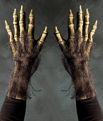 Rotting Skeleton Death Undead Zombie Reaper Hands Adult Halloween Costume Gloves • $24.94