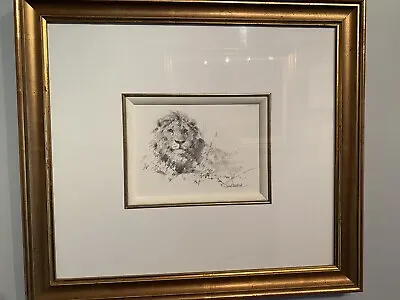 An Original David Shepherd Pencil Drawing Of A Lion ￼ • £1260