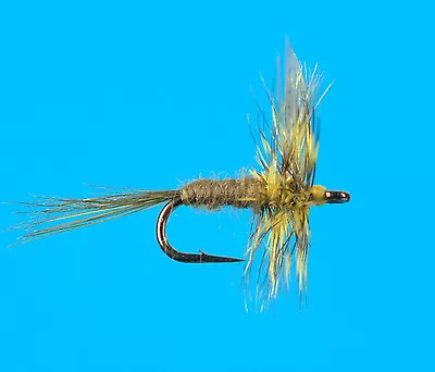 Olive Midge 6 Pcs. Size 20 • $6.75