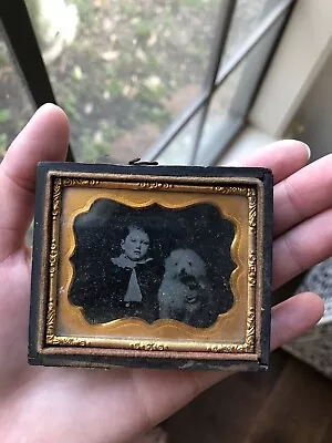 RARE Daguerreotype: Young Boy Child With His Dog : C. 1850 Cased Photo • $475