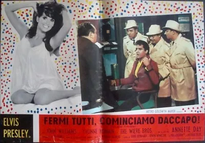 DOUBLE TROUBLE Italian Fotobusta Movie Poster 1 ELVIS PRESLEY 1967 • $150