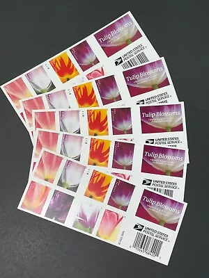 SEALED 2023 Tulip Blossoms US Postage Forever 100 Count Stamps (5 Sheets Of 20) • $48.99