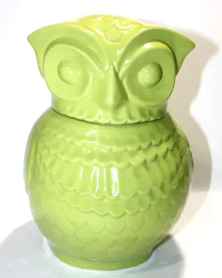 Euro  Ceramica Mint Green Ceramic Owl Cookie Jar Canister Vintage 10.5 Inch Rare • $20