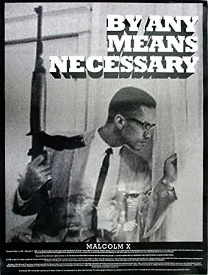 Malcolm X Poster By Any Means Necessary (18x24) • $18.99