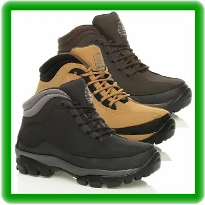  Womens GROUNDWORK   SAFETY STEEL TOE CAP WORK  TRAINER SHOE BOOTS. Size 3 To 9 • $67.87