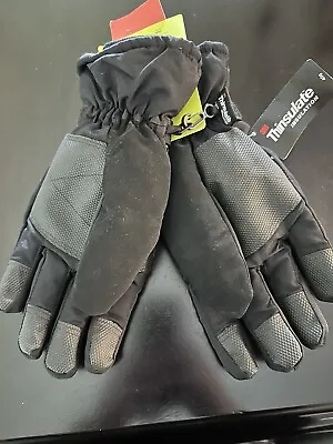 Tek Gear Gloves NEW Mens L /Xl Warm Gear Ski Black 3M Thinsulate Water Resistant • $7.19
