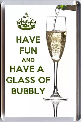 HAVE FUN And DRINK BUBBLY Fridge Magnet UNIQUE Champagne Lover's Christmas Gift • $12.89