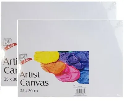 2 X Artist Canvas Panel Board Art Painting For Acrylic & Oil 25cm X 30cm  • £3.99