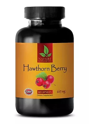 Healthy Heart - HAWTHORN BERRY Extract 665mg - Blood Pressure Support - 1 Bottle • $17.10