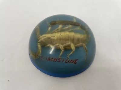 Scorpion Paperweight Acrylic Tan Brown Round Vtg 1970s Taxidermy Bugs • $19.99