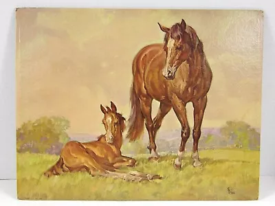 Vtg Horse 11x14 Equestrian Equine Art Winde Picture Elmore Brown Mare & Foal • $12