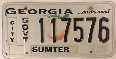 CITY GOVERNMENT GOVT MUNICIPAL POLICE License Plate Officer Official Sheriff • $59.95