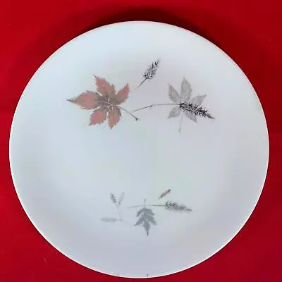 Royal Doulton Tumbling Leaves (TC1004)  8.5  Salad Plates (8 Available) • £2.50