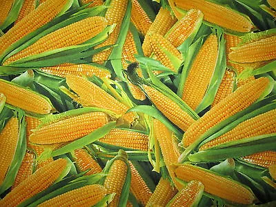 Corn Husks Cobb Snacks Food Cotton Fabric FQ  • $3.89