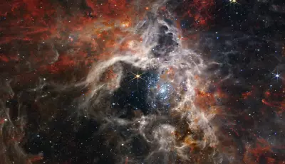 Tarantula Nebula James Webb Space Telescope Stars Space Photo Photograph Print • $14.95