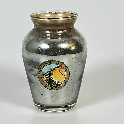 Vintage 4” Mercury Glass Vase Skyline Dr. Virginia Souvenir E1 • $12.99