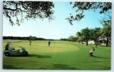 Postcard Palm Hill Mobile Home Park & Country Club Largo Florida Golf J177 • $7.48