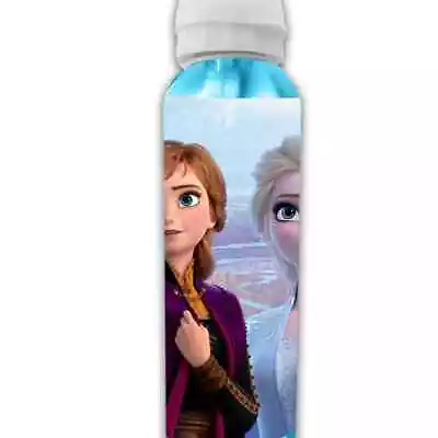 Frozen II 'Believe In The Journey' Aluminium Drinks Bottle 500ml Blue • $15.49