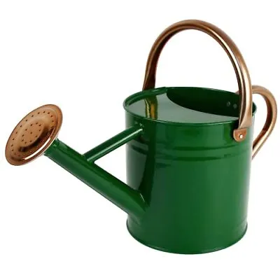 Homarden Half Gal Green Watering Can Metal Removable Spout Indoor Outdoor Plant • $17.99