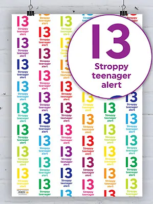 13th Birthday Wrapping Paper Thirteenth Bright Funny Rainbow Gift Wrap Present • £4.50