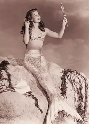 Antique Mermaid Photo 2646b Oddleys Strange & Bizarre • $7.77