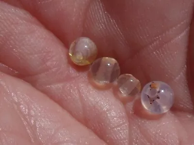 1.24 Ct. Lot Of 4 Pcs Mexican Fire Opal Bead. • $35