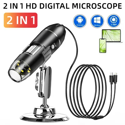 1600X Zoom 8LED HD 1080P USB Microscope Digital Magnifier Endoscope Video Camera • $21.88