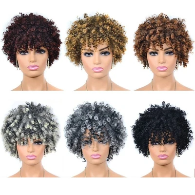 Men Short Wig Afro Kinky Curly Synthetic Wigs For Women's Fashion Full Wig • £12.38