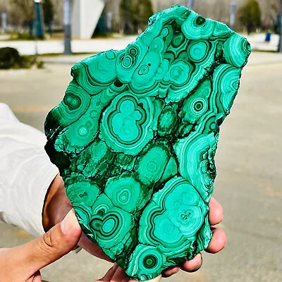 1.56LB Natural Glossy Malachite Transparent Cluster Rough Mineral Sample • $0.99