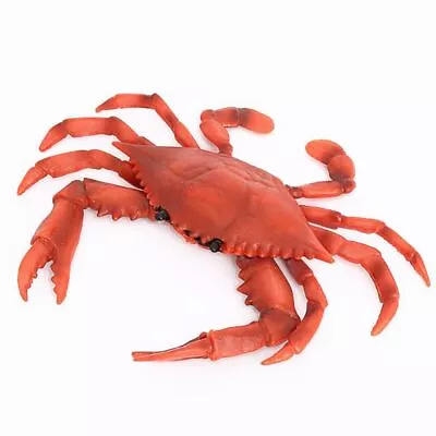 Toy Simulation Crabs Red Crab Model Sea Animal Figurine Kids Cognition • $14.28