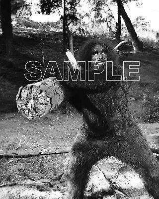 SIX MILLION DOLLAR MAN 8X10 Photo 316-05 ANDRE THE GIANT As Bigfoot • $9.99