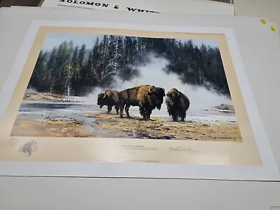 David Shepherd Signed Limited Edition Print  Hot Springs Of Yellowstone Park   • £45