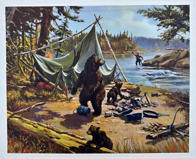 Vintage 8x10 Western Print Mama Bear & Cubs Destroyed Campsite Fisherman • $16.99