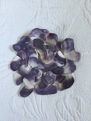 Purple Wampum Lot Of 25 Pieces Quahog Clam Shell Aquinnah Martha’s Vineyard MA • $12