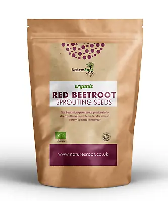 £134.99 • Buy Organic Red Beet Sprouting Seeds - Beetroot Superfood Non GMO Microgreen Sprouts